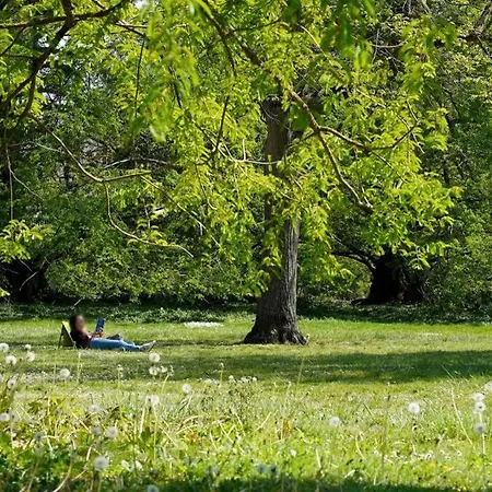 In Historical Center Of Palais Belle Epoque ,international